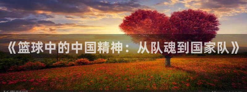《篮球中的中国精神：从队魂到国家队》
