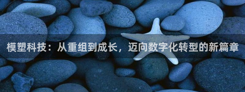 模塑科技：从重组到成长，迈向数字化转型的新篇章