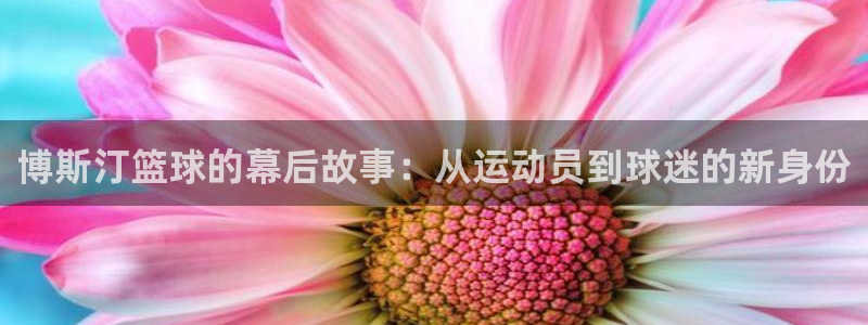 博斯汀篮球的幕后故事：从运动员到球迷的新身份