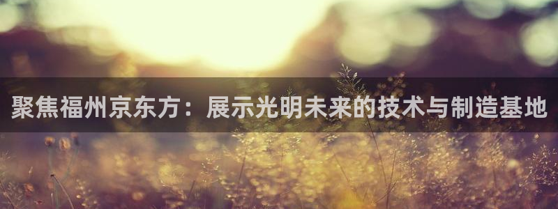 聚焦福州京东方：展示光明未来的技术与制造基地