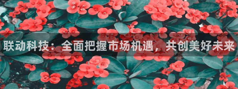 联动科技：全面把握市场机遇，共创美好未来